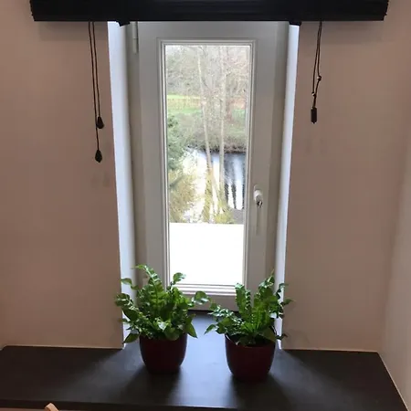 Apartment Spinnerei