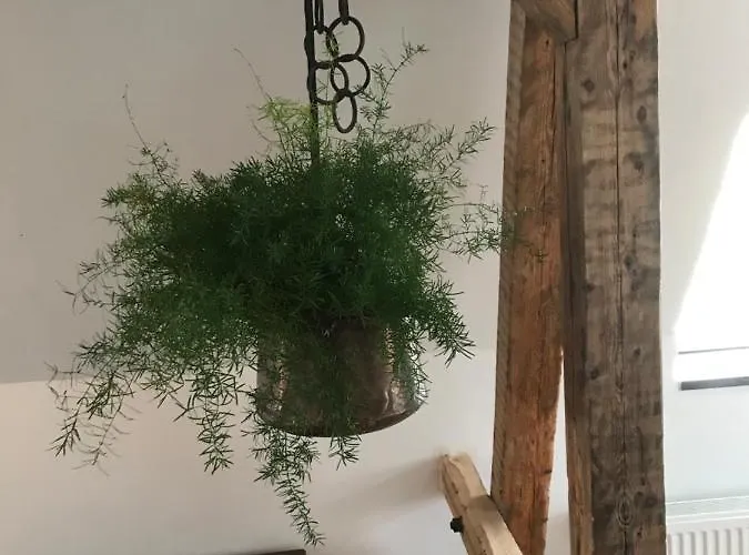 Spinnerei Appartamento Gronau (Westfalen)